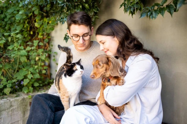 The Secret Arsenal of Dog and Cat Supplies for Happy, Healthy Pets